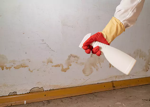 Your Water Restoration and Mold Remediation Specialists in Manitou Springs, CO