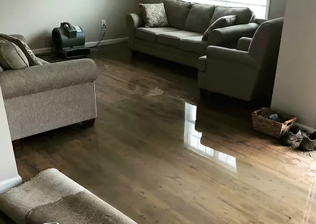 Your Trusted Restoration Company in Manitou Springs, CO