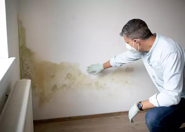 Reach Our Remediation Team Before Damage Grows in Manitou Springs, CO!