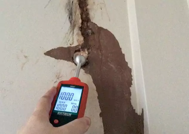 Your Water Damage Assessment Partner in Manitou Springs, CO