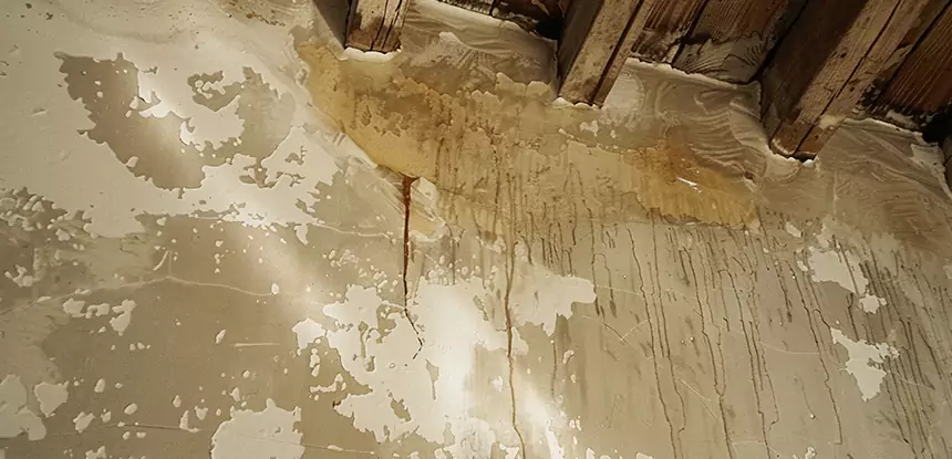 Professional Attic Water Damage Repair Services in Manitou Springs, CO