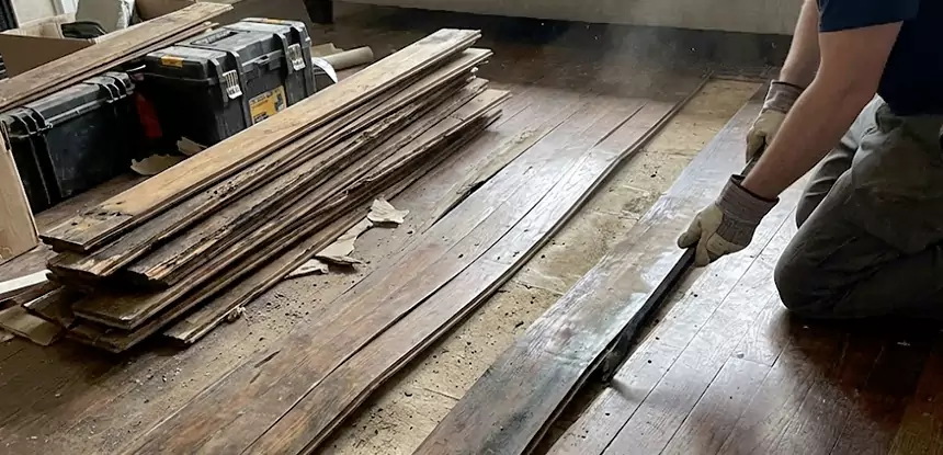 Wood Rot and Fungus Repair in Manitou Springs