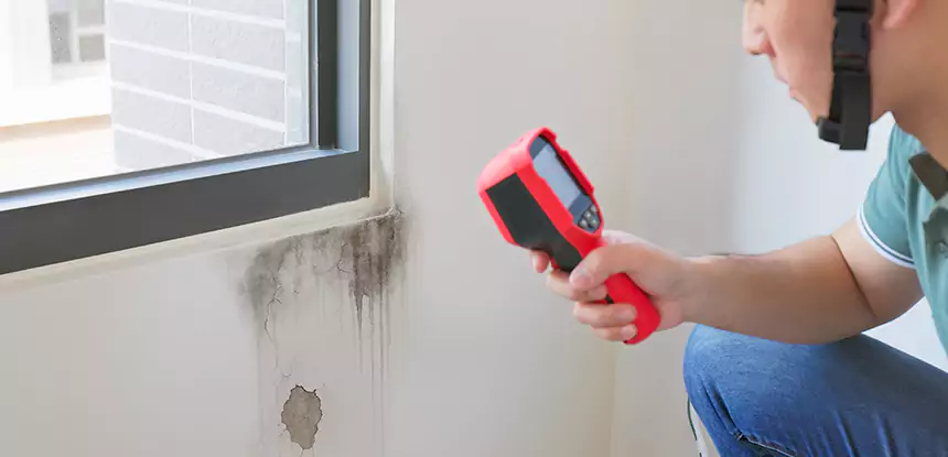 Wall Texture Repair After Mold in Manitou Springs