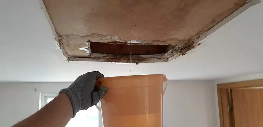Ceiling Mold Repair Manitou Springs