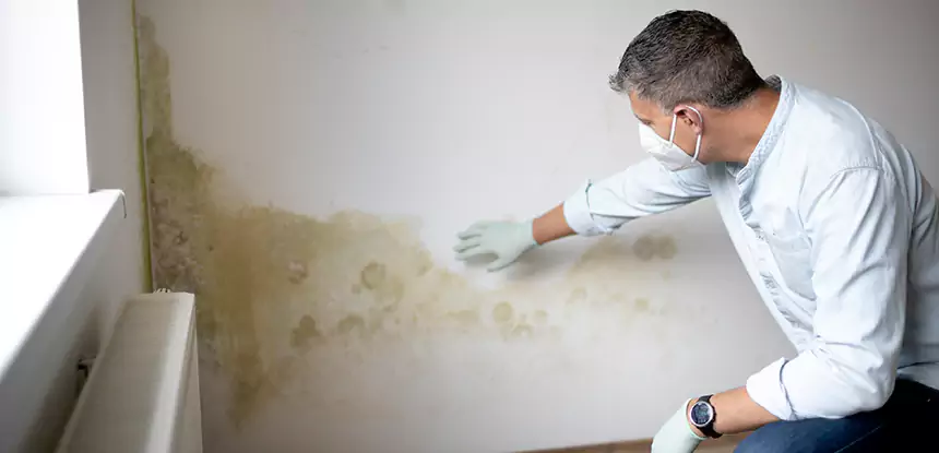 Mold and Water Damage Repair in Manitou Springs
