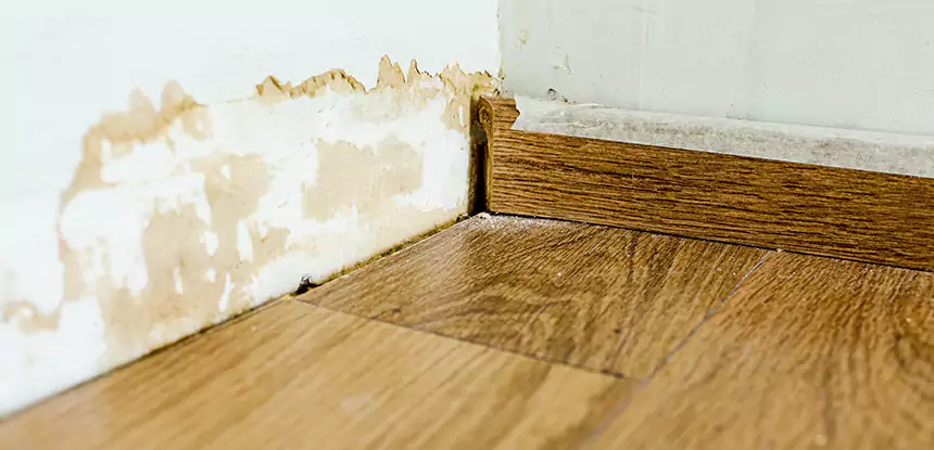 Professional Fix Water Damaged Wood Services in Manitou Springs, CO