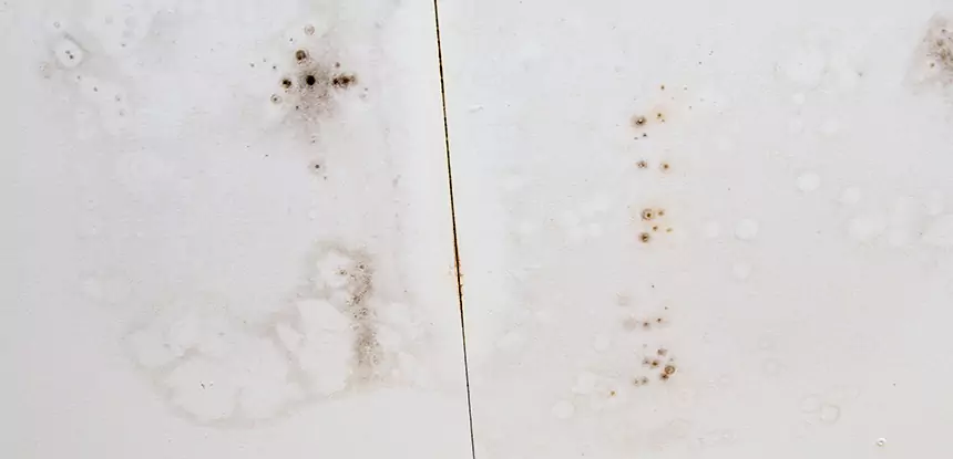 Professional Water Stain Repair Services in Manitou Springs, CO