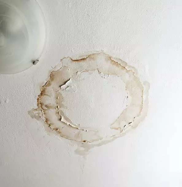 Why Manitou Springs Property Owners Choose Manitou Springs Restoration Pro for Ceiling Water Damage Restoration?
