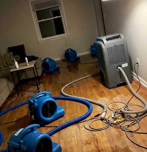 Why Manitou Springs Calls Manitou Springs Restoration Pro First for Emergency Restoration?