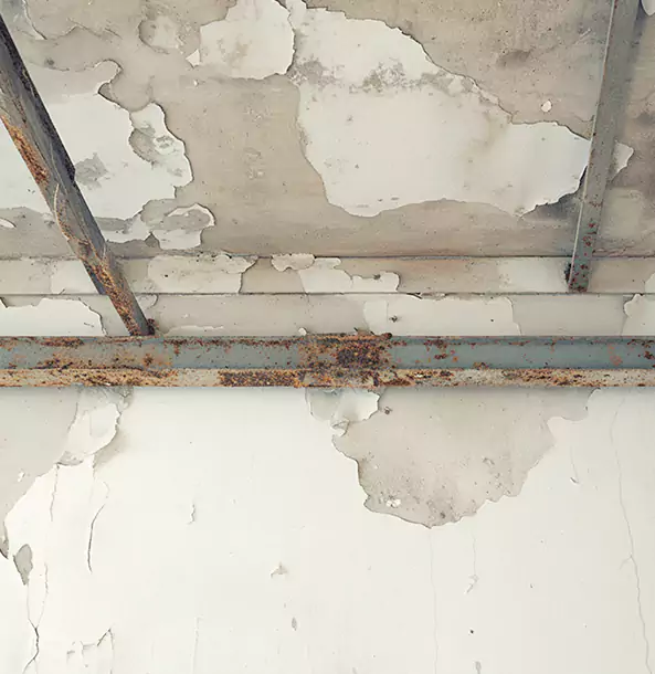 Why Manitou Springs Restoration Pro Is the Right Choice in Manitou Springs, CO?