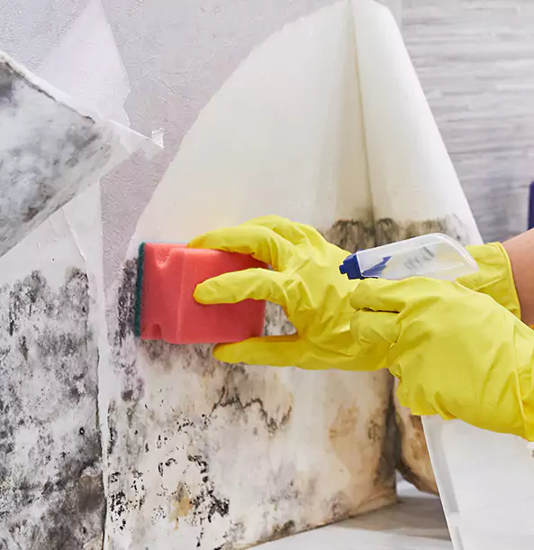 Why Manitou Springs Trusts Manitou Springs Restoration Pro for Mold and Water Restoration?
