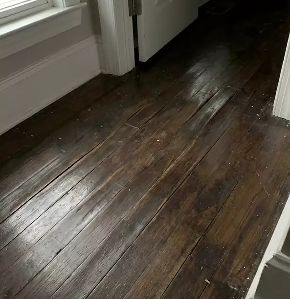 Why Manitou Springs Homeowners Trust Manitou Springs Restoration Pro to Fix Water Damaged Wood?