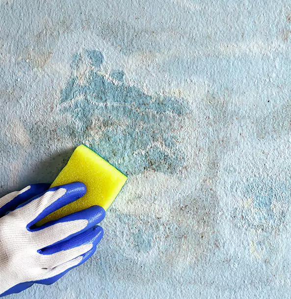 Why Manitou Springs Restoration Pro Is the Right Choice in Manitou Springs, CO?