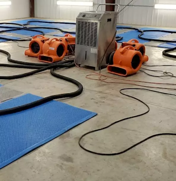 Why Manitou Springs Homeowners and Businesses Choose Manitou Springs Restoration Pro for Wet Carpet Removal?