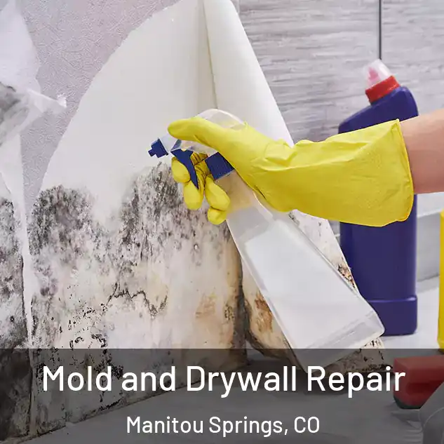  Mold and Drywall Repair Manitou Springs, CO