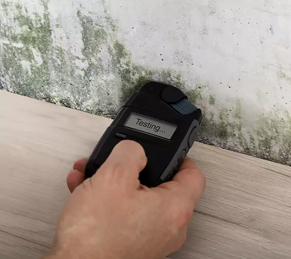 Mold Remediation Service Manitou Springs