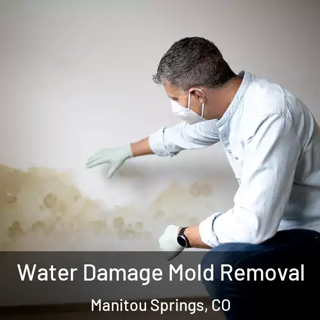  Water Damage Mold Removal Manitou Springs, CO
